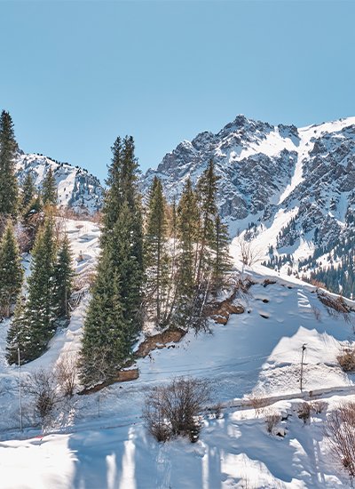 Himachal Shimala Manali