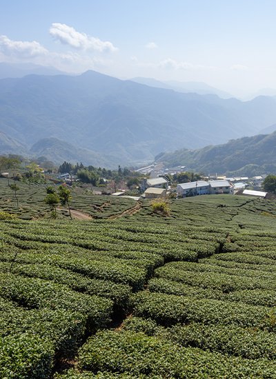 Darjeeling Gangtok With Pelling