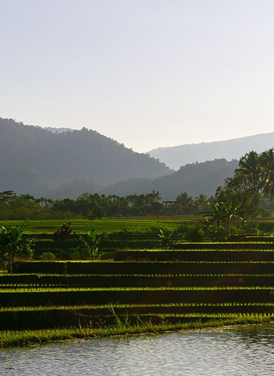 Enchanting Manali Getaway